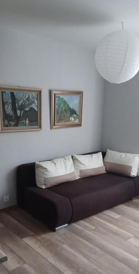 Apartamenty W Starym Kinie Swieradow-Zdroj Exterior foto